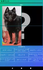 犬のクイズ：品種を推測—ゲーム、写真、テスト アプリダウンロード