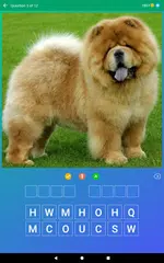 Dog Quiz: Guess the Breed Game XAPK download