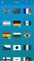 Flags 截图 1