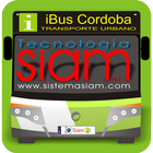 iBus Cordoba icon