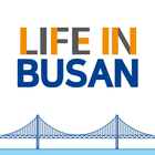 Life in Busan আইকন