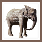 FastPhotoTagger 图标