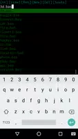 SmallBASIC capture d'écran 1