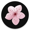 Sakura Anime Watch Anime