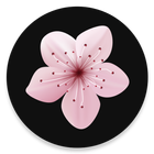 Sakura Anime Watch Anime & Download Episode icône