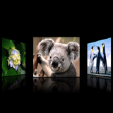CoverFlow icône