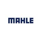 Mahle Catalog ikon