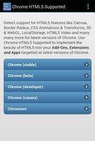 HTML5 Supported for Chrome? plakat