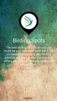 Birding Spots 海報