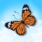 Indian Butterflies ikon