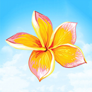 Indian Flowers APK