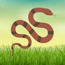 Indian Snakes APK