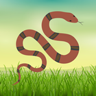 Indian Snakes أيقونة