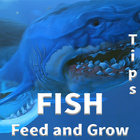 Tips FISH Feed and Grow icon