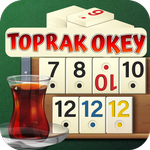 ToprakOkey icon