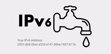 IPv6 Leak Detector