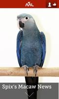 Aviary Life تصوير الشاشة 3