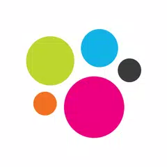 bolha.com XAPK download