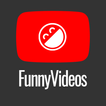 Top Funny Videos 2019