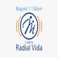 Radio vida