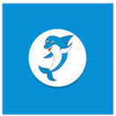 DolohinNet VPN APK