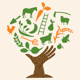 WWOOF: Live & Learn on Farms