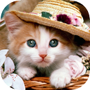Cats & Dogs Set Wallpapers APK