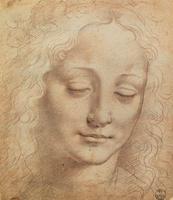 Leonardo Da Vinci Wallpapers スクリーンショット 1