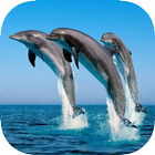Sea Animals Wallpapers icon