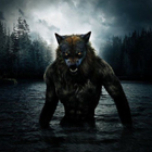 Werewolf Wallpaper আইকন