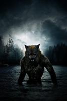 Werewolf Wallpaper স্ক্রিনশট 2