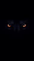 Wolf Wallpaper اسکرین شاٹ 1