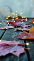 Autumn Wallpaper 截圖 3