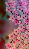 Cute Wallpaper Aesthetic تصوير الشاشة 1