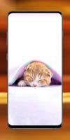 Cute Kitten Wallpaper screenshot 3