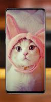 Cute Kitten Wallpaper poster
