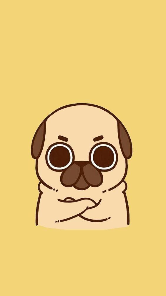 Cute Pug Wallpaper APK for Android Download