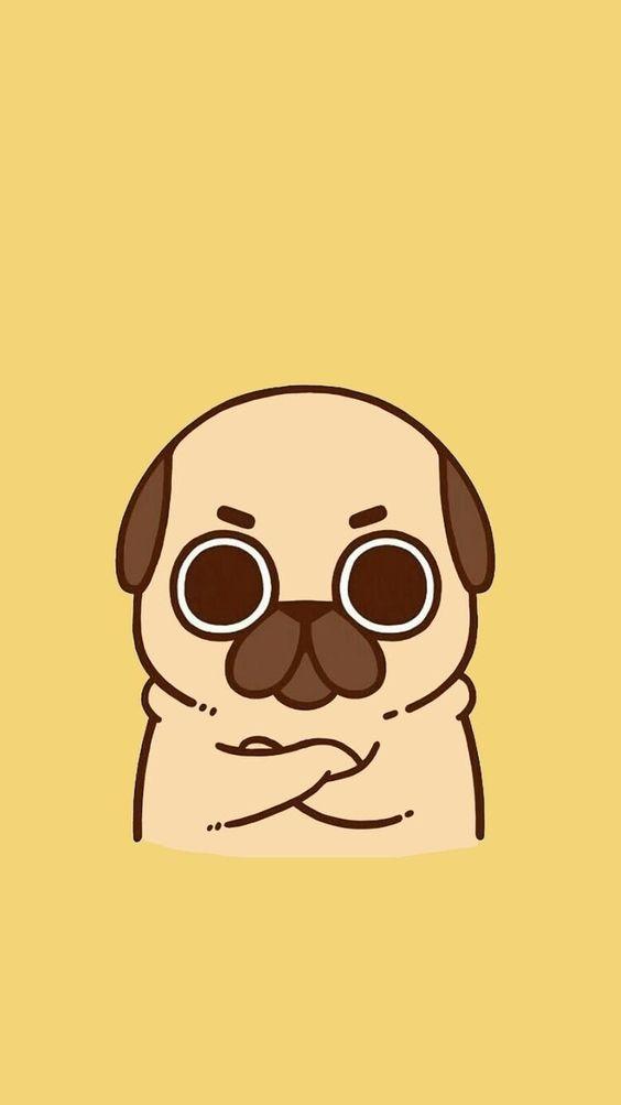Cute Pug Wallpaper APK for Android Download Cute Pug Wallpaper APK for Android Download