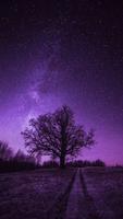 Purple Wallpaper ảnh chụp màn hình 1