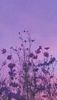 Purple Wallpaper ảnh chụp màn hình 2