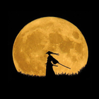 Silhouette আইকন