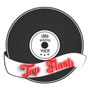 Top Flash Web Rádio APK