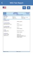 WEG Test Report screenshot 3
