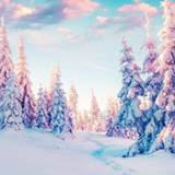 Winter Wallpaper simgesi