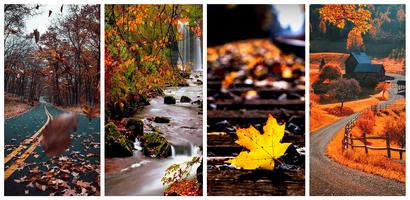 Autumn Wallpaper gönderen