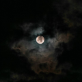 Dark Wallpaper