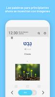 WordBit Hebreo screenshot 2