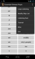 Essential Chinese Pinyin poster