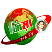Zia TV icon