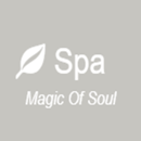 Spa APK